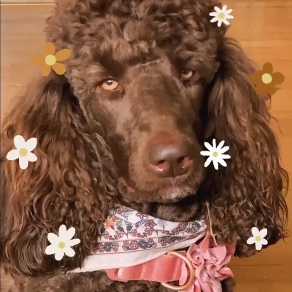 Hello! - Picture 2 of 5